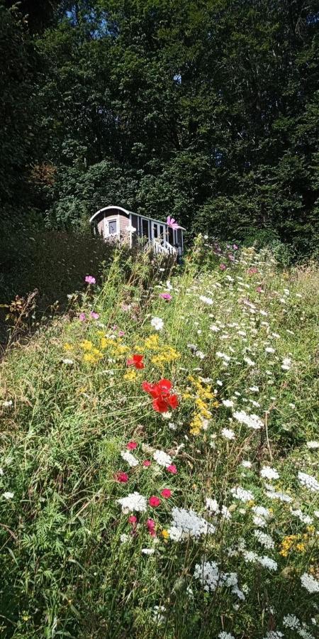 Gites Insolites Proche Nancy Marbache Exterior foto
